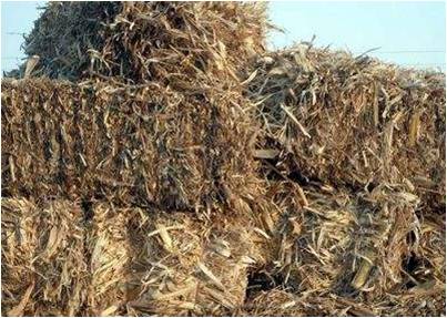 秸秆传统饲草化利用现状